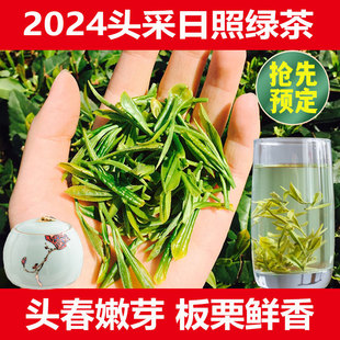 山东日照绿茶2024年新茶早春茶叶特级头采板栗浓香礼盒