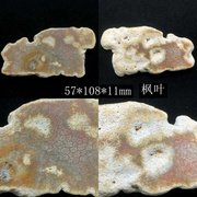高档印尼原矿天然珊瑚玉原石矿料摆件菊花玉石手把件装饰饰品片料