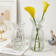 简约小清新玻璃花瓶透明水培，植物鲜花干花插花器，客厅装饰摆件家用
