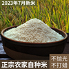 2023新米早稻农家米自种软米长粒细粒煮粥河源现磨5斤大米