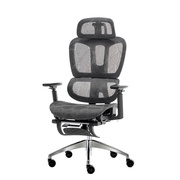 进口特网椅人体工学多功能网椅家用办公员工椅久坐椅子电脑椅办公