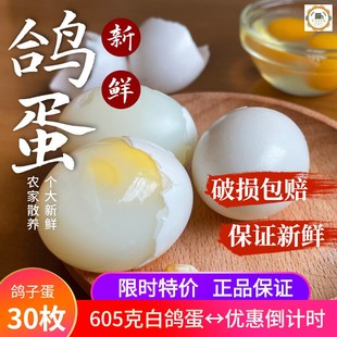 鸽子蛋新鲜30枚×20克总重605克以上大白鸽蛋农家散养特产