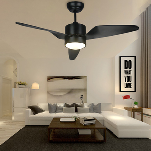 北欧简约时尚黑白啡色现代工业风吊灯吊扇客厅餐厅卧室电风扇带灯