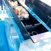 鱼缸过滤盒过滤器水族箱上置过滤槽顶部过滤设备上滤滴流盒小款