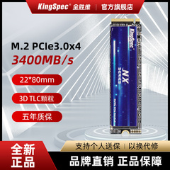 金胜维M.2固态硬盘NVMe2280