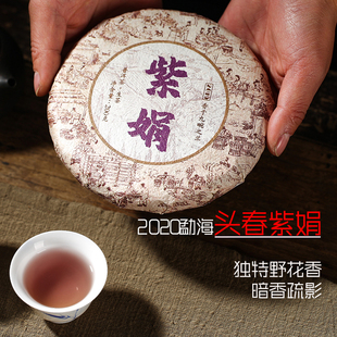 2020年云南勐海紫娟普洱茶生茶饼茶生态浓香型稀有黑紫鹃包装200g