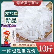 大米农家特级大米新米长粒香米丝苗香米5/10斤猫牙米真空包装
