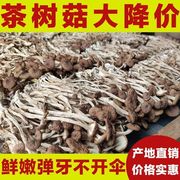 茶树菇干货不开伞农家江西特产，香菇新鲜野生菌煲汤菇类200g非500g