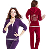 金丝天鹅绒运动套装女秋冬季韩版刺绣紫色时尚休闲显瘦大码两件套