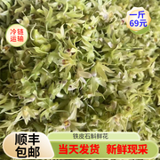 铁皮石斛鲜花2023新鲜食用一斤铁皮枫斗新花正宗基地直发