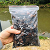 兰花种植专用土肥料透气家用营养土建兰蝴蝶君子兰松树皮植料花土