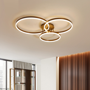 北欧卧室铝材吸顶灯现代创意，简约圆圈轻奢时尚家居客厅天花顶灯具