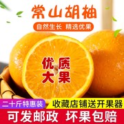 常山胡柚中国大陆10斤装20斤装新鲜水果正宗柚子西柚非红心