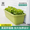 家庭有机蔬菜种植箱种菜神器，长方形树脂加厚环保花盆阳台室外大号
