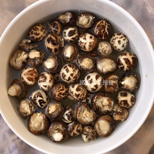 小花菇干货迷你干香菇珍珠香菇1.5cm 剪脚冬菇蘑菇500g袖珍菇
