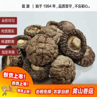 黄山特产椴木小香菇干货500g食用农产品特级野生散装蘑菇冬菇