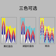 自行车贴纸公路车单车拉花涂装前叉改色翻新车架保护装饰防水防刮