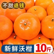 广西武鸣沃柑10斤新鲜橘子水果当季整箱沙糖蜜橘砂糖柑橘桔子
