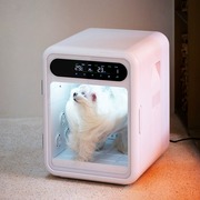 宠物烘干箱全自动烘干机猫咪吹风神器狗狗洗澡家用吹水机小型犬类