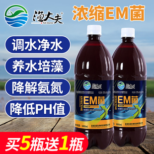 EM菌种硝化细菌水产养殖鱼缸净水剂菌种益生菌水族水质净化肠道好