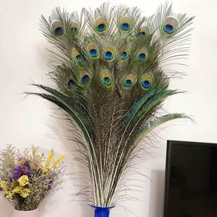 孔雀毛羽毛(毛羽毛)家里摆设，的装饰品客厅摆件大件插孔雀，毛羽毛(毛羽毛)的花瓶