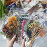 超大号复古花朵植物pet周末花店贴纸手帐透明防水diy装饰素材贴画