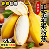 正宗苹果蕉粉香蕉新鲜9斤当季整箱水果甜芭蕉圆香焦banana大果10