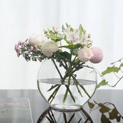 创意扁口金鱼缸(金鱼缸)水晶花瓶水养现代简约透明玻璃绿萝花器装饰摆件