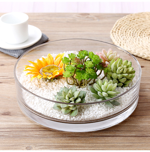 加厚圆形玻璃花瓶透明水培多肉植物矮花盆桌面简约北欧装饰居家