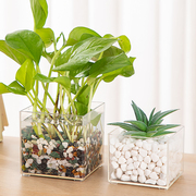 水培绿植方缸塑料简约正方形铜钱，草花盆白掌绿萝水养，透明花瓶摆件
