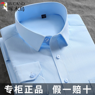 啄木鸟蓝色衬衫男士长袖短袖商务正装工装职业中青年条纹白棉衬衣