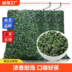 铁观音茶叶新茶浓香型乌龙茶