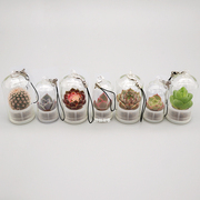 活植物随身多肉学生钥匙扣迷你盆栽，挂件桌面微景观生态瓶创意