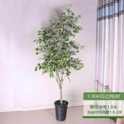 仿真北欧橄榄树红枫榕树绿植客厅大型植物盆栽室内塑料树假树摆设