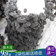 黑木耳菌包蘑菇菌种子菌菇包自种盆栽蘑菇食用菌棒室内蘑菇.