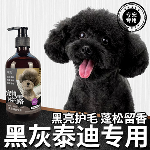 黑色泰迪狗狗专用沐浴露，灰色贵宾犬去屑止痒留香宠物洗澡香波浴液