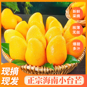 海南小台农芒果新鲜10斤小台芒应季时令水果当季芒果整箱大果