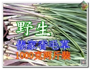 西双版纳特产柠檬草野生新鲜香茅草傣族烧烤豆腐摊佐料香料1000g