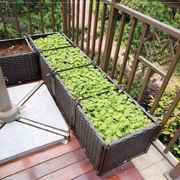 家用春季带脚栽种平台种菜箱屋顶菜园种植箱，o种花盆田园方型家里