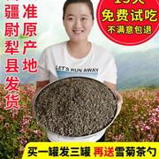 罗布麻茶新疆野生特级红梗特产散装新芽养生茶叶