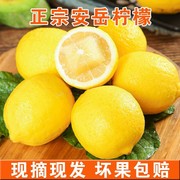 四川安岳黄柠檬新鲜水果皮薄一级有机满满维C独立包装无10粒特产