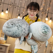 海洋馆海豹公仔海狮毛绒玩具日本大板海象软体抱枕仿真圆球型海狗