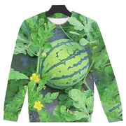 秋季款卫衣3d印花图案，个性创意小众时尚西瓜，图案男女款卫衣