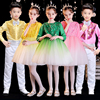 元旦儿童演出公主裙男女童，长袖蓬蓬纱裙幼儿园舞蹈大合唱表演服装