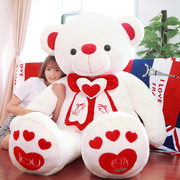 可爱抱抱熊毛绒玩具泰迪大熊猫公仔布娃娃大熊女孩生日礼物情人节