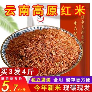 买3送1云南红米大米农家自产新米红粳米糙米稻米红米五谷杂粮粗粮