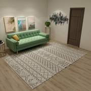 客厅地毯卧室北欧茶几地垫ins毯现代简约轻奢家用风格垫水洗垫子