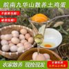 九华山正宗散养土鸡蛋，农家新鲜草鸡蛋，自养野外笨柴月子虫草蛋