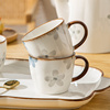 日式高颜值水杯陶瓷家用套装高级水壶茶杯马克杯办公杯客厅泡茶杯
