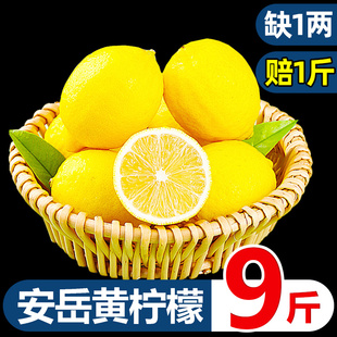 华秧安岳黄柠檬9斤新鲜水果当季现摘皮薄一二级香水小青金桔柠檬